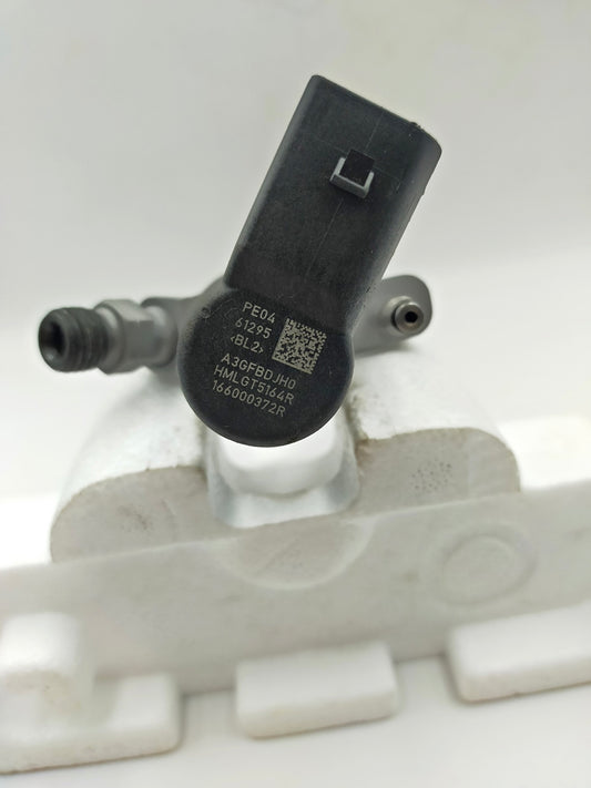 New injector 166000372R RENAULT, FORD